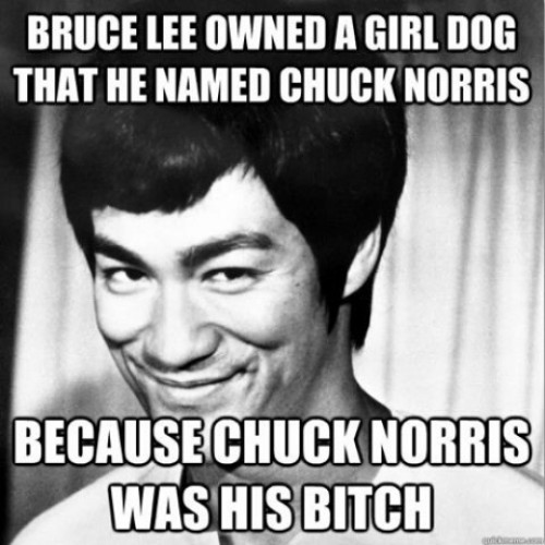 hornoxe.com_picdump310_050