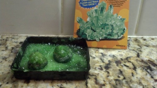 hornoxe.com_picdump310_079