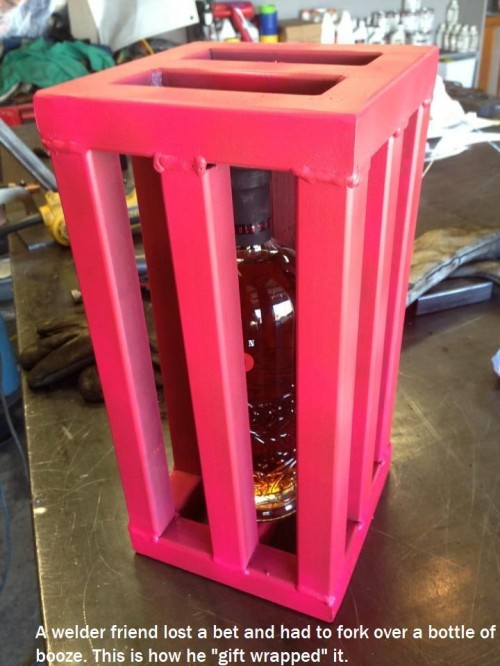 hornoxe.com_picdump310_094