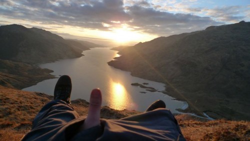 hornoxe.com_picdump310_107