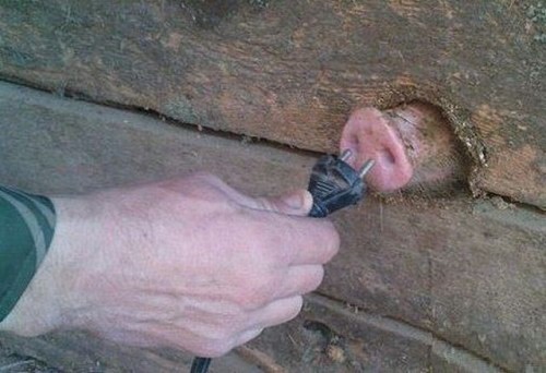 hornoxe.com_picdump310_115