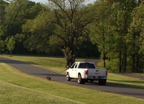 hornoxe.com_picdump310_118