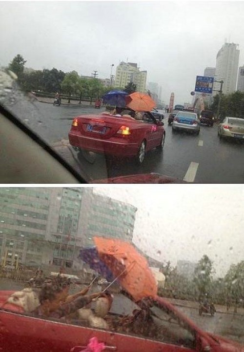 hornoxe.com_picdump310_122