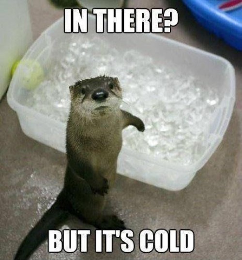 hornoxe.com_picdump310_142