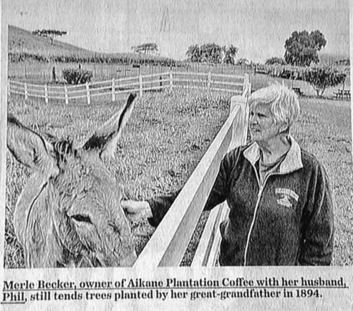 hornoxe.com_picdump310_172