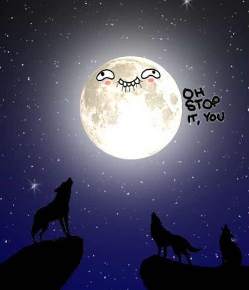 hornoxe.com_picdump310_186