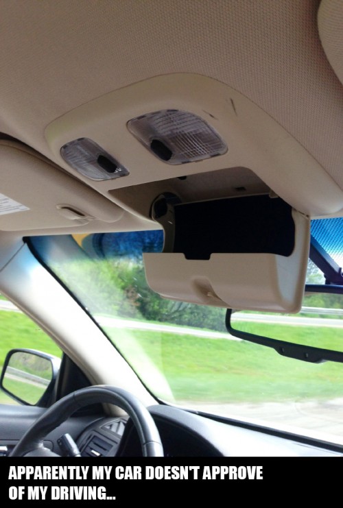 hornoxe.com_picdump311_007