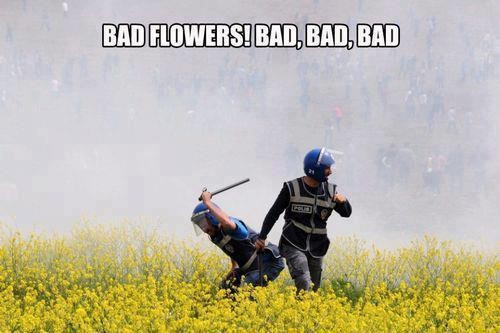 hornoxe.com_picdump311_014