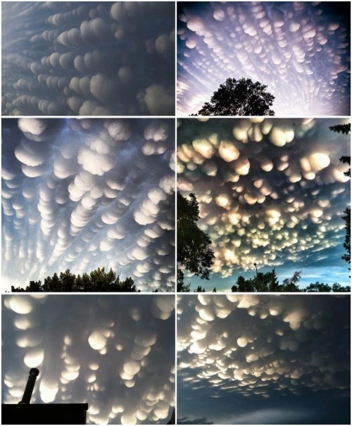 hornoxe.com_picdump311_017