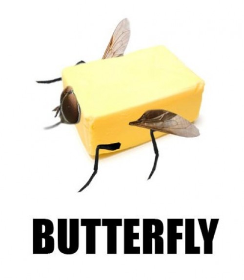 hornoxe.com_picdump311_031