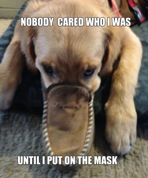 hornoxe.com_picdump311_035