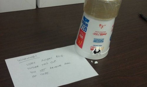 hornoxe.com_picdump311_047