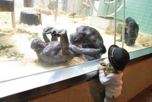 hornoxe.com_picdump311_084