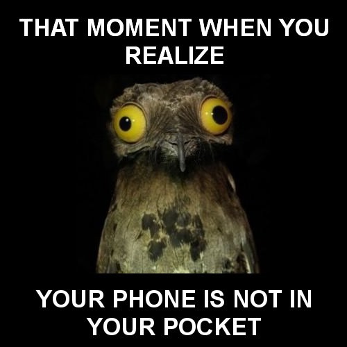 hornoxe.com_picdump311_142