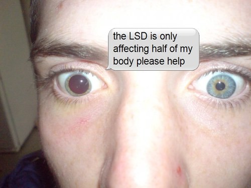 hornoxe.com_picdump311_148