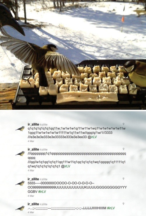 hornoxe.com_picdump311_159