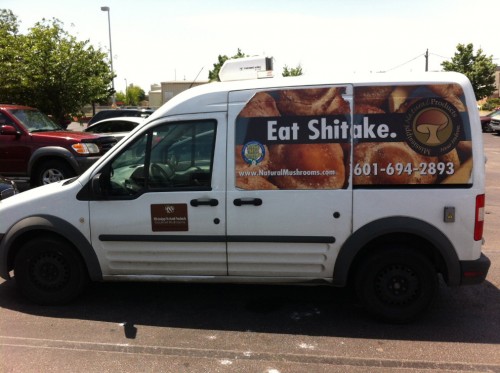 hornoxe.com_picdump312_001