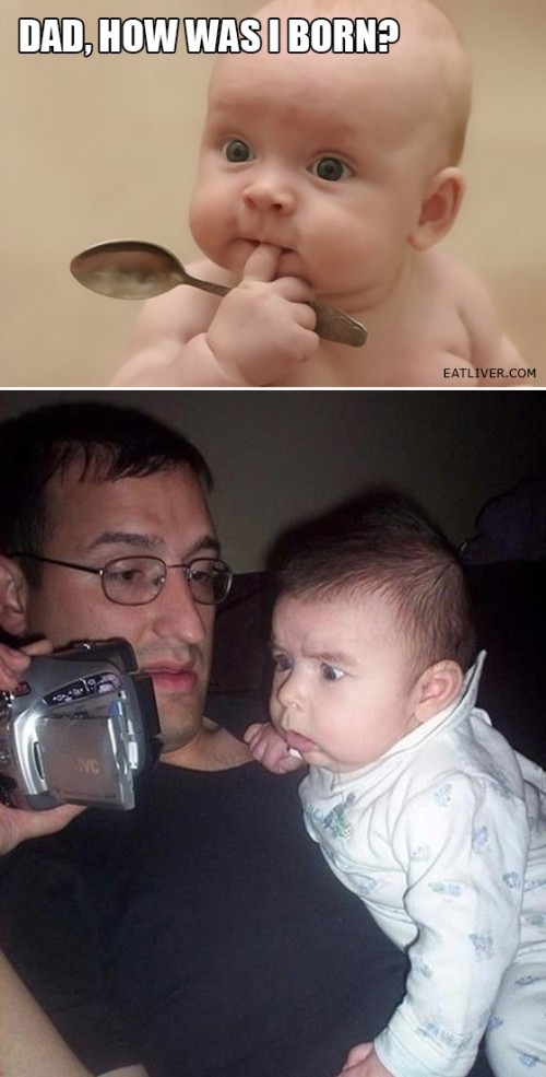 hornoxe.com_picdump312_009