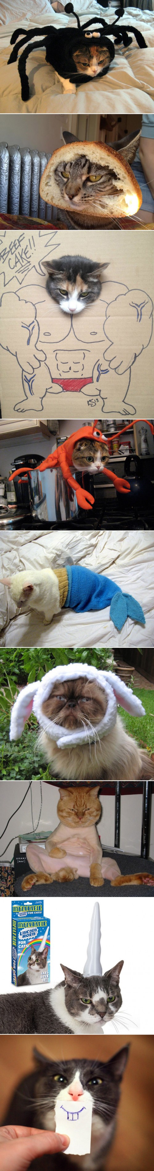 hornoxe.com_picdump312_014