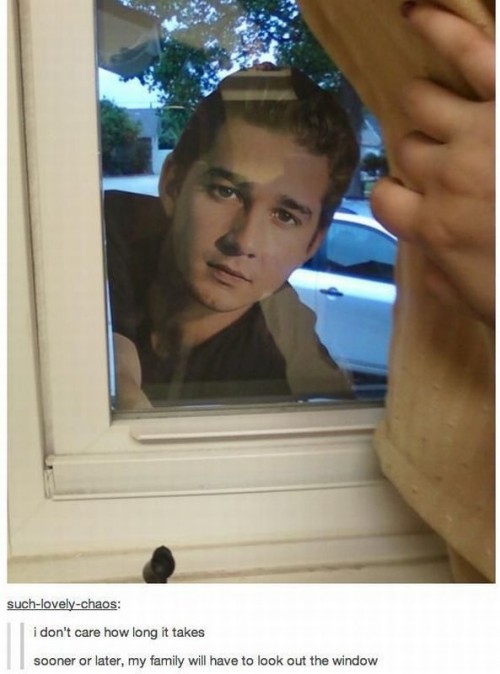 hornoxe.com_picdump312_062