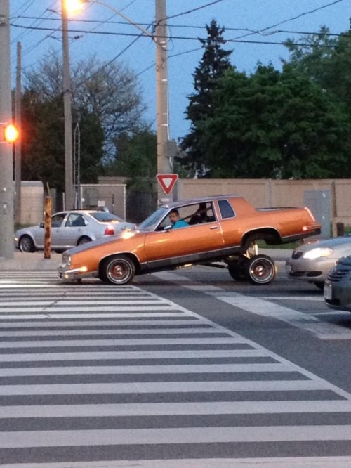 hornoxe.com_picdump312_079