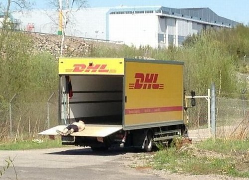 hornoxe.com_picdump312_085