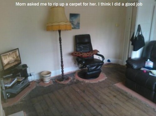 hornoxe.com_picdump312_102