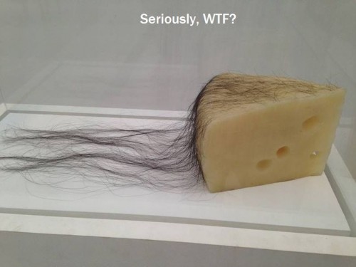 hornoxe.com_picdump312_122