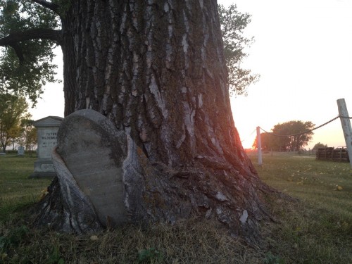 hornoxe.com_picdump312_127