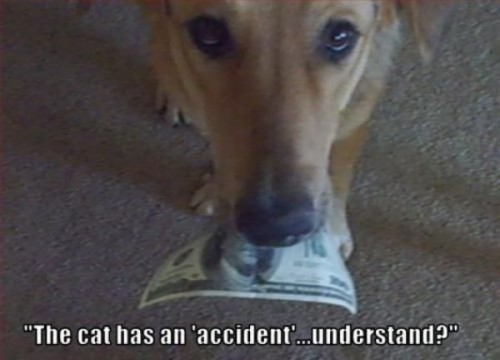 hornoxe.com_picdump312_133