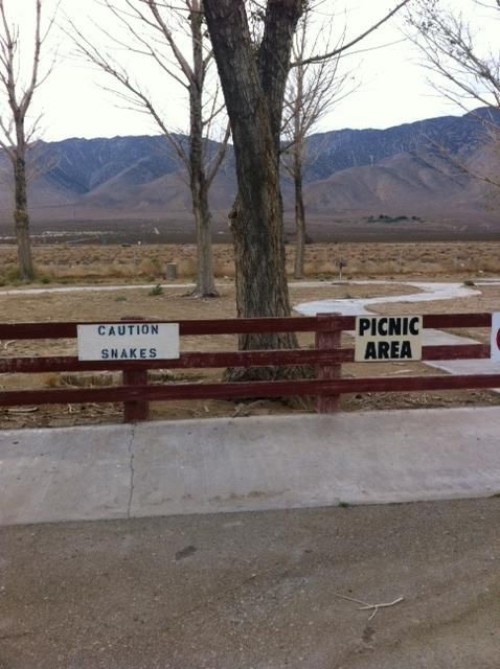 hornoxe.com_picdump312_160