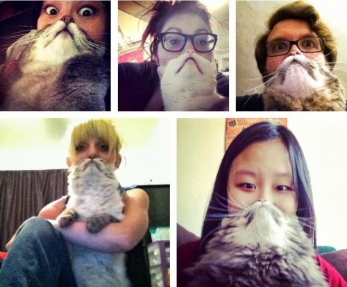 hornoxe.com_picdump312_163