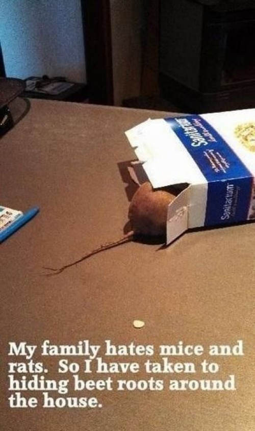 hornoxe.com_picdump312_172