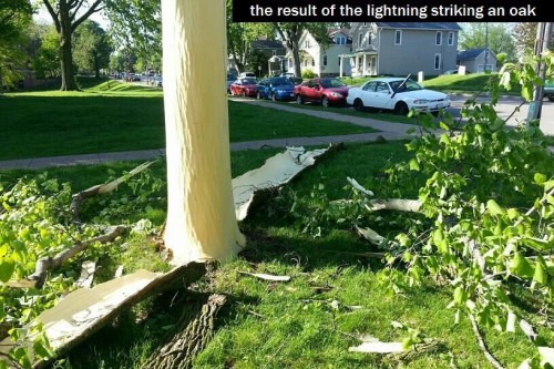 hornoxe.com_picdump312_173