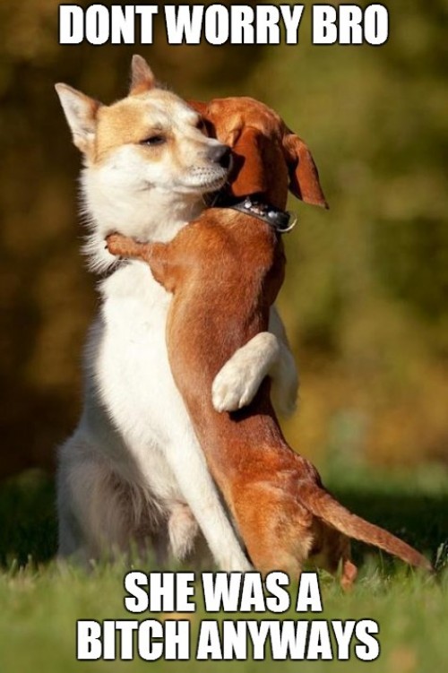 hornoxe.com_picdump312_199