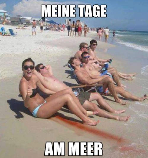 hornoxe.com_picdump312_222