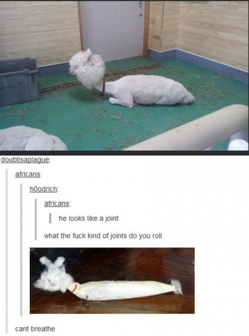 hornoxe.com_picdump313_013