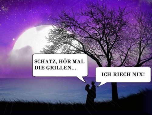 hornoxe.com_picdump313_018