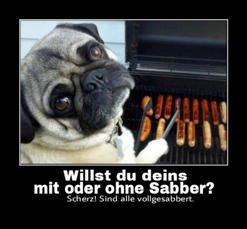 hornoxe.com_picdump313_025