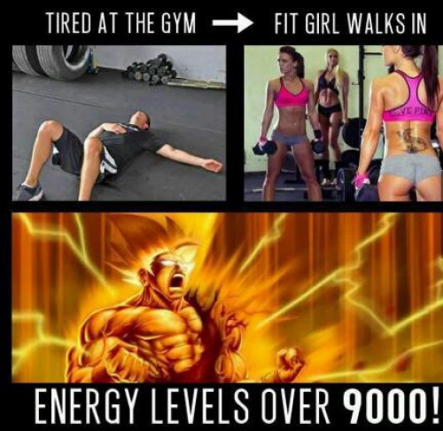 hornoxe.com_picdump313_042