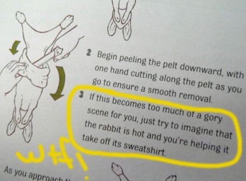 hornoxe.com_picdump313_054