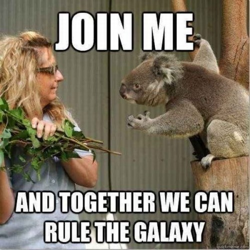 hornoxe.com_picdump313_067