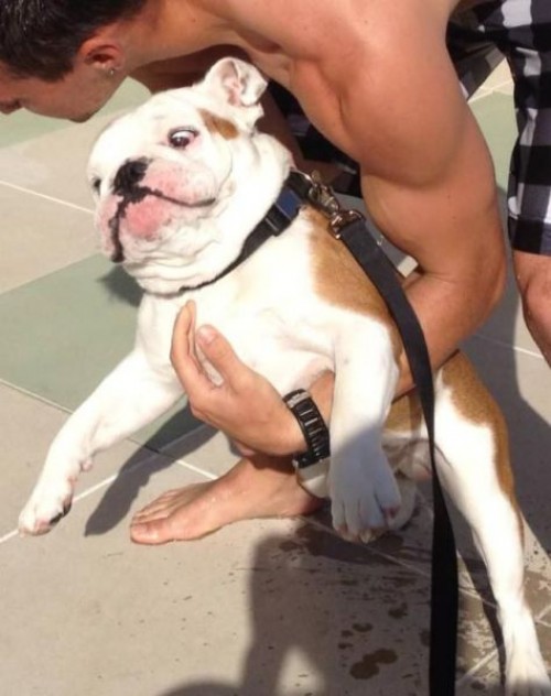 hornoxe.com_picdump313_068