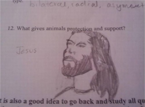 hornoxe.com_picdump313_075