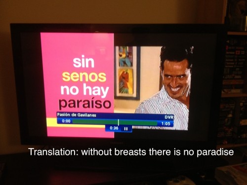 hornoxe.com_picdump313_084