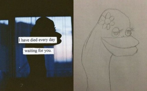 hornoxe.com_picdump313_086