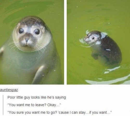 hornoxe.com_picdump313_095