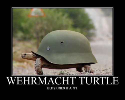 hornoxe.com_picdump313_146