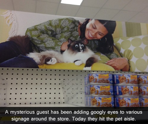 hornoxe.com_picdump313_156