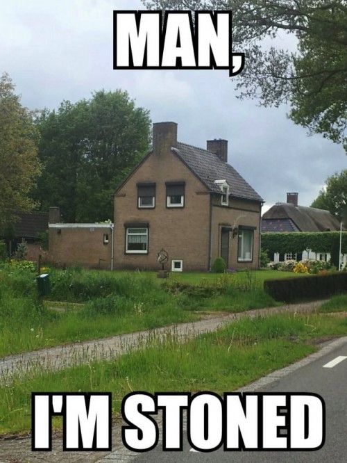 hornoxe.com_picdump314_003